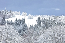 SumavaCervenaUnor2026 - 034